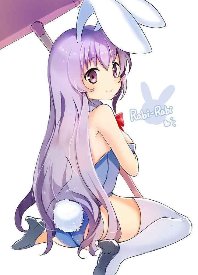 【Erotic Anime Summary】 Erotic image collection of beautiful women and beautiful girls who cosplayed as bunny girls [40 sheets] 3