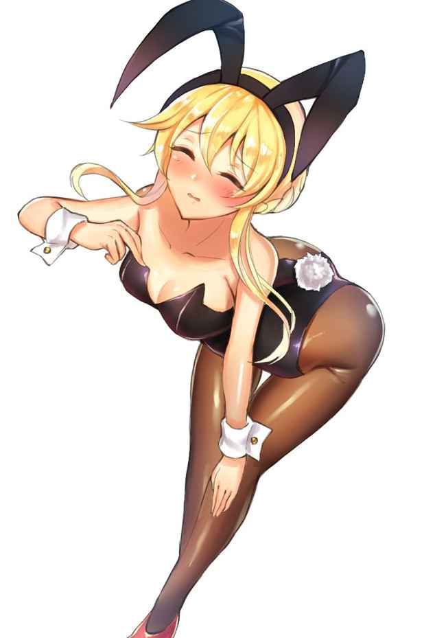 【Erotic Anime Summary】 Erotic image collection of beautiful women and beautiful girls who cosplayed as bunny girls [40 sheets] 34