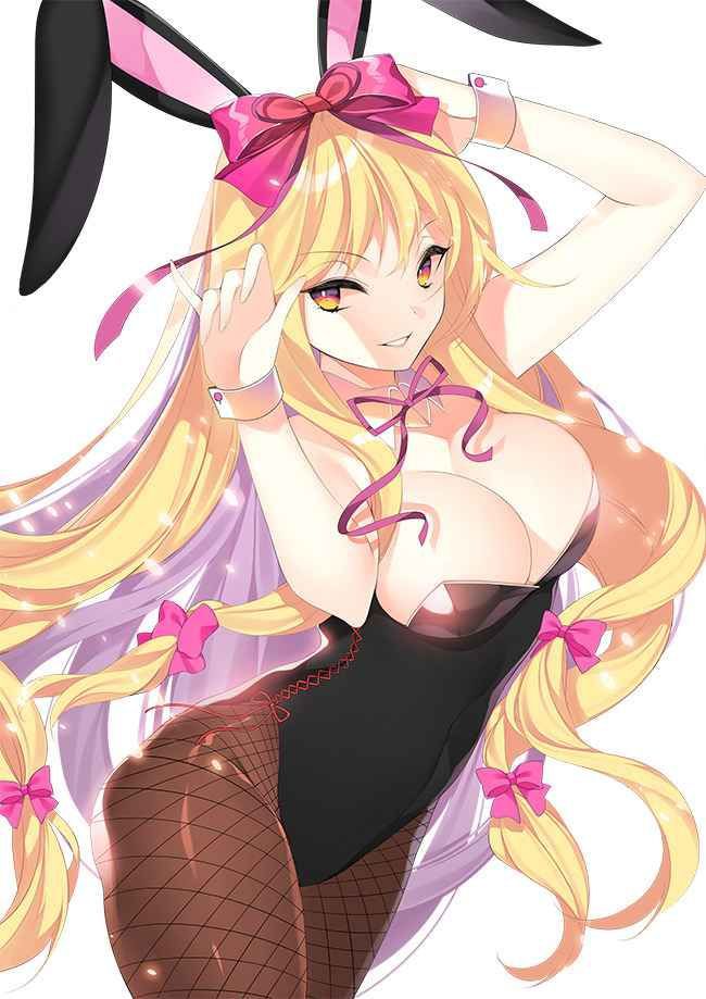 【Erotic Anime Summary】 Erotic image collection of beautiful women and beautiful girls who cosplayed as bunny girls [40 sheets] 8