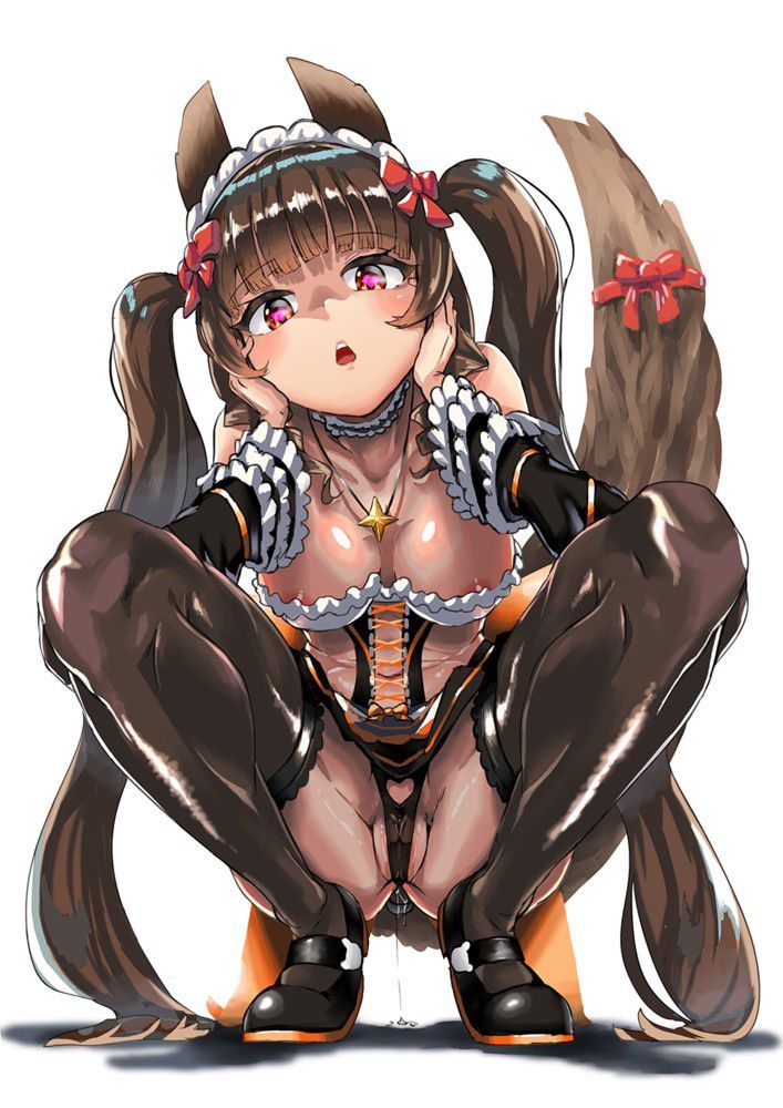 Twin tails erotic image replenishment! 4