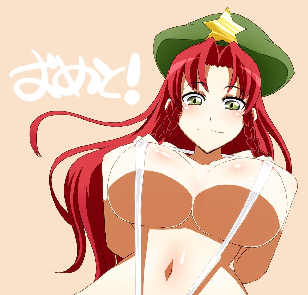 [Touhou Project] too erotic image of Homi Rin! 14