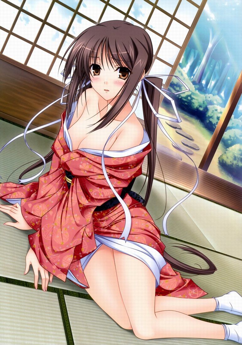 Kimono Collect erotic image of Japanese kimono is only collect persevere 21