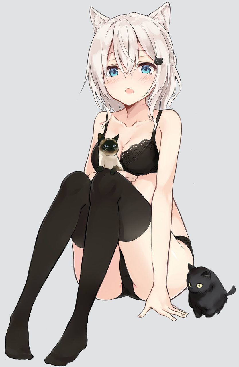 [2nd] Cute second erotic image of cat-eared daughter who want to be spoiled [cat-eared Girl] 27