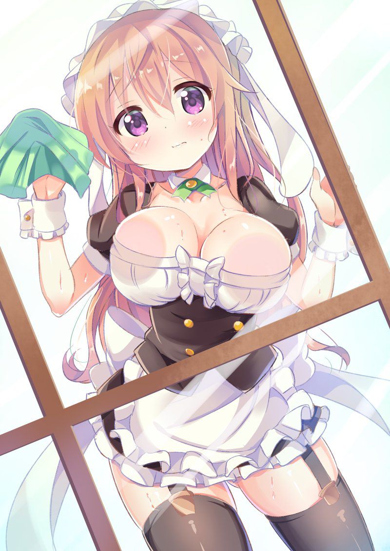 [2nd] The second erotic image of the beautiful girl maid who wants to take care of various 20 [maid] 18