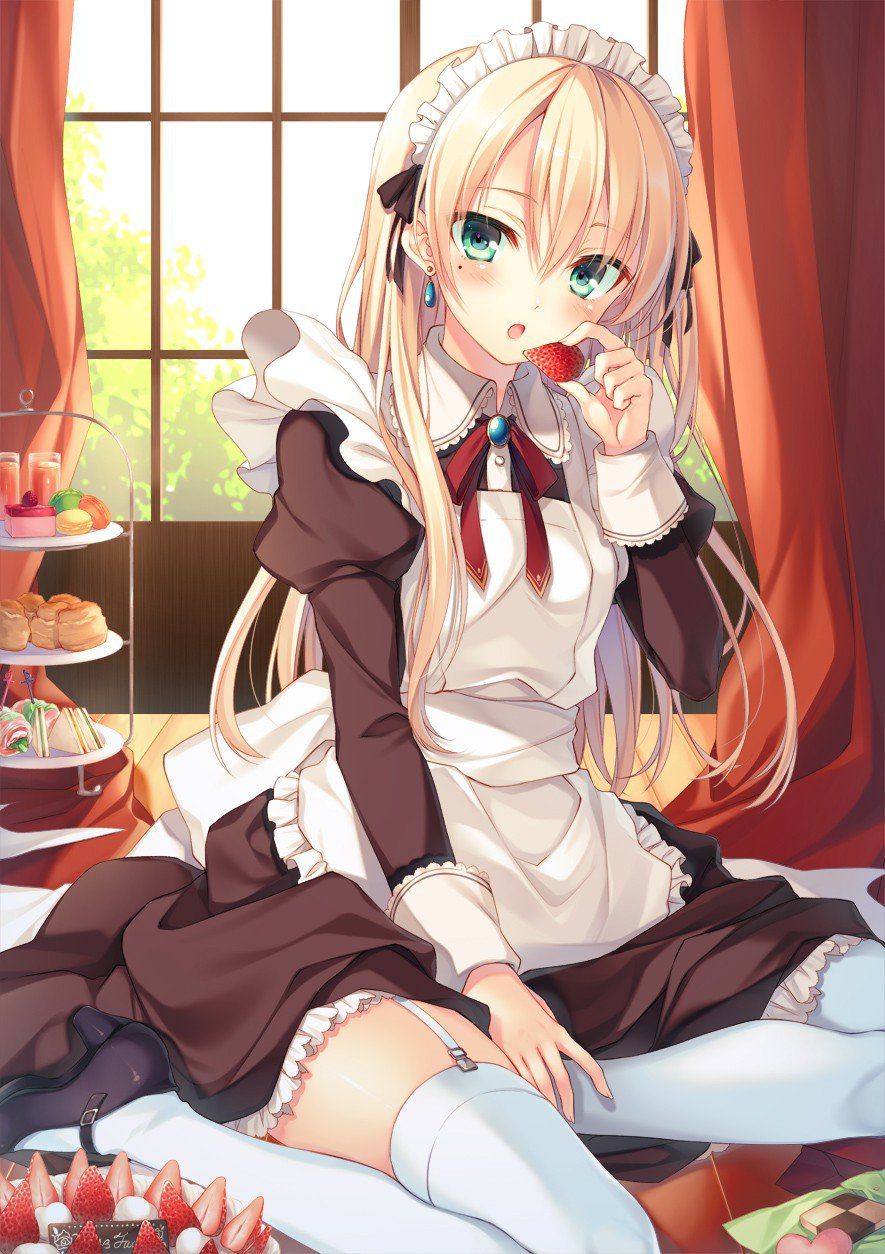 [2nd] The second erotic image of the beautiful girl maid who wants to take care of various 20 [maid] 2