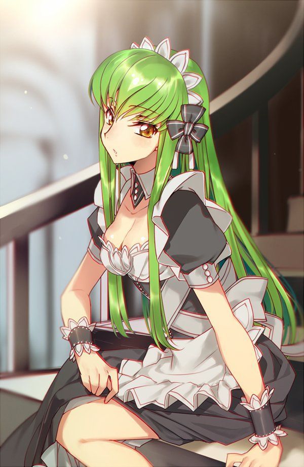 [2nd] The second erotic image of the beautiful girl maid who wants to take care of various 20 [maid] 8