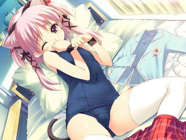 [105 reference images] about the cute two-dimensional erotic image of school swimsuit. 5 [Summer] 101