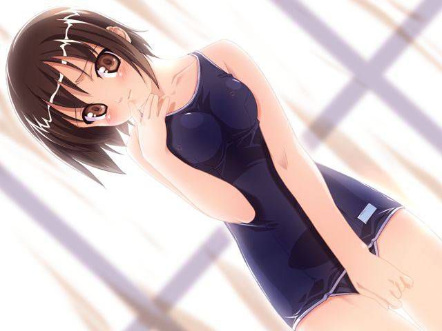 [105 reference images] about the cute two-dimensional erotic image of school swimsuit. 5 [Summer] 2