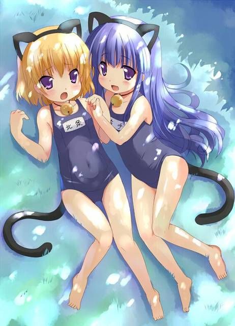 [105 reference images] about the cute two-dimensional erotic image of school swimsuit. 5 [Summer] 64