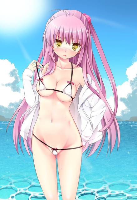 [119 Reference images] If you want to understand the erotic of the two-dimensional micro-bikini.... 1 [Kinky swimsuit] 109