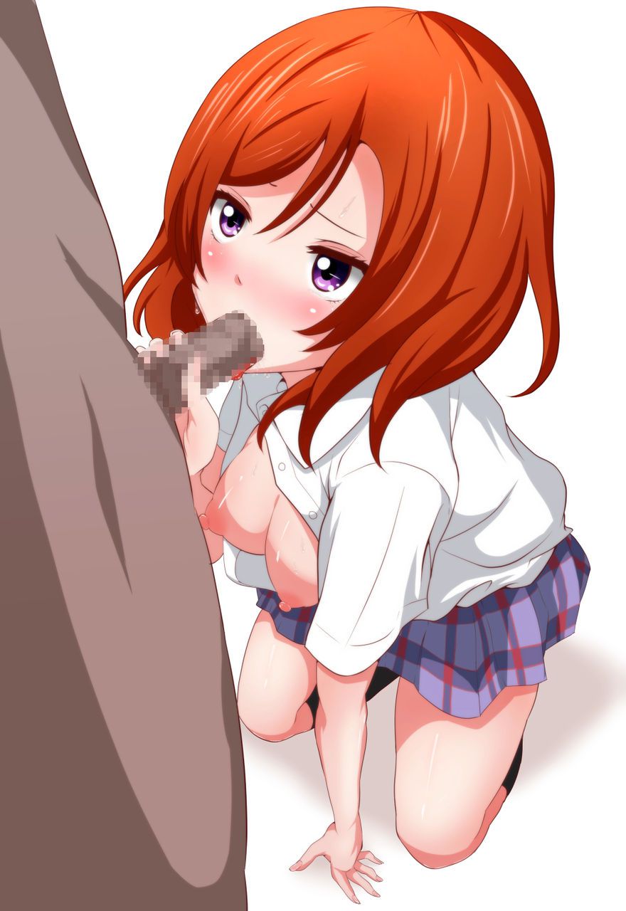 Love Live! 70 pictures of a naughty image paste 39