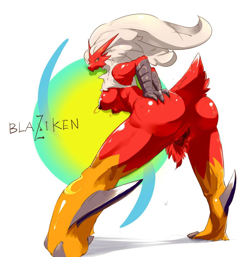 [Sasamix]Blaziken 25