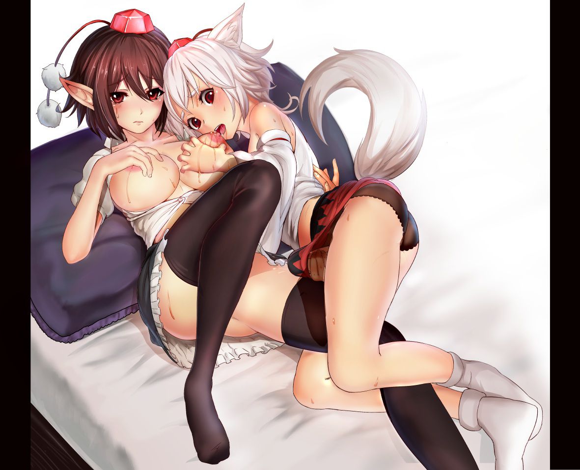 【Touhou Project】Erotic image of Inu Ran Bowl! part5 5