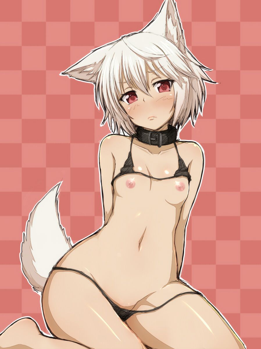 【Touhou Project】Erotic image of Inu Ran Bowl! part5 6