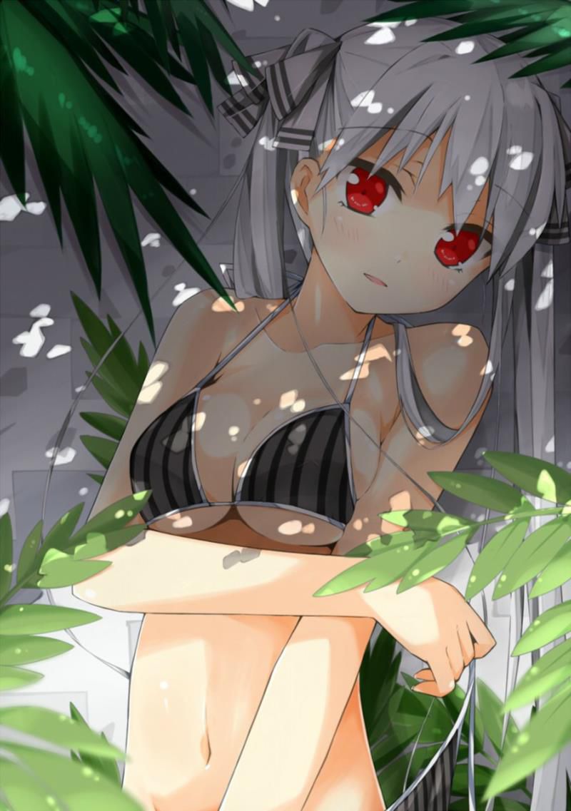 [Secondary] Erotic image Summary [50] to be lascivious to a girl wearing a bikini 2