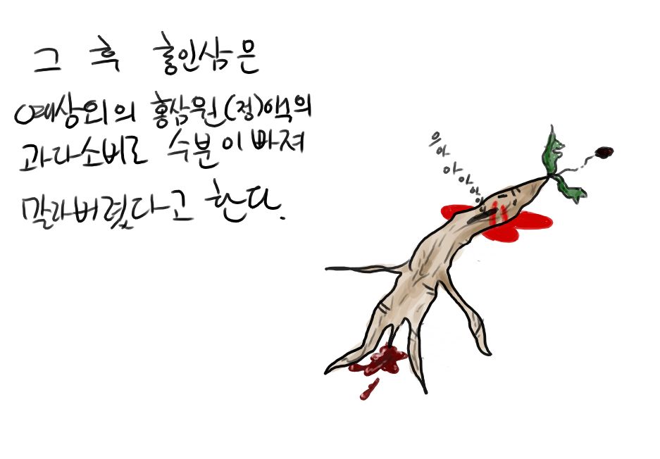 [Doppel] 긂(넷캔) [Korean] 15