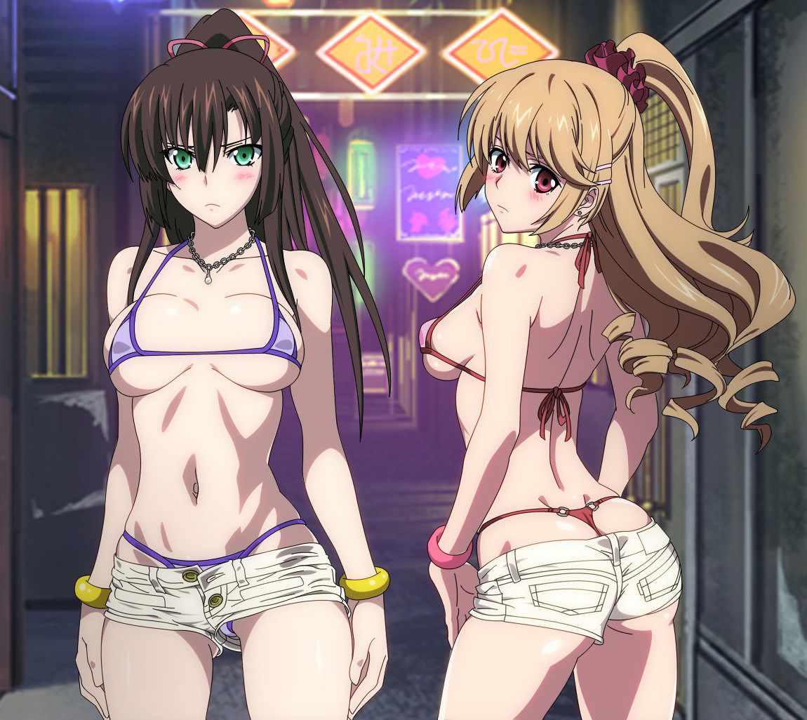 [Strike the blood] the heroine erotic pictures of Princess Hiiragi Yukina. 18 25