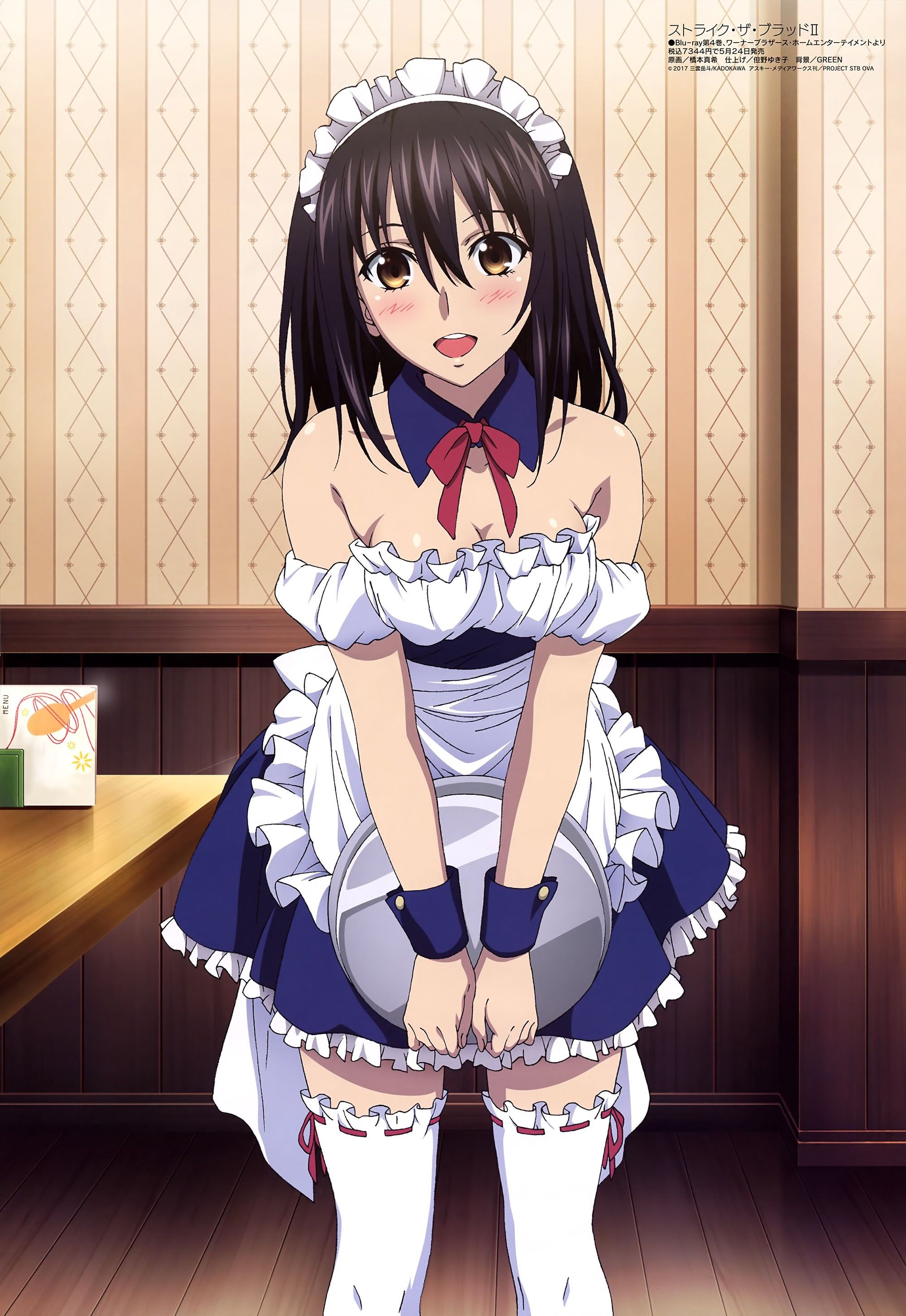 [Strike the blood] the heroine erotic pictures of Princess Hiiragi Yukina. 18 4