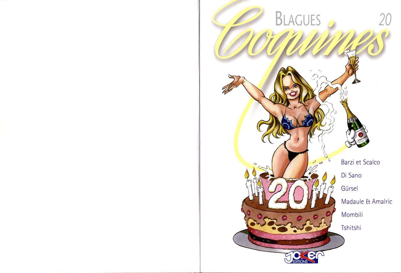 Blagues Coquines Volume 20 [French] 3