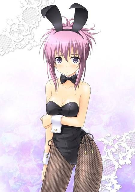 [105 Erotic pictures] is this a bunny girl girl...? 12 [2d] 105