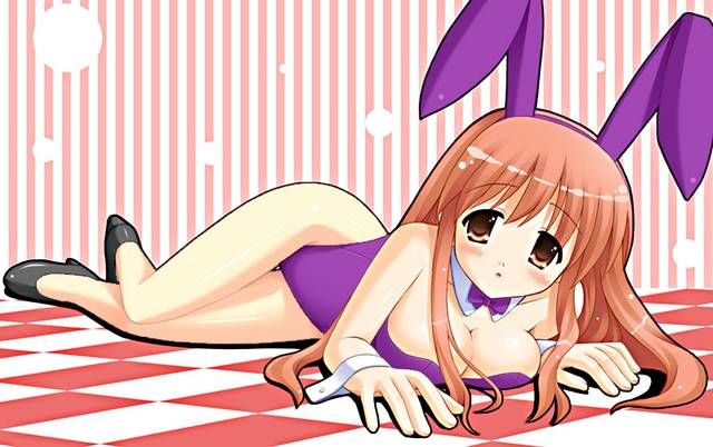 [105 Erotic pictures] is this a bunny girl girl...? 12 [2d] 107
