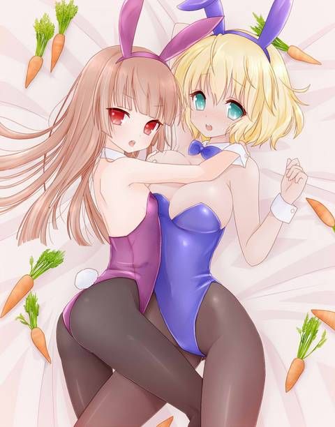 [105 Erotic pictures] is this a bunny girl girl...? 12 [2d] 112