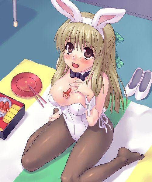 [105 Erotic pictures] is this a bunny girl girl...? 12 [2d] 24