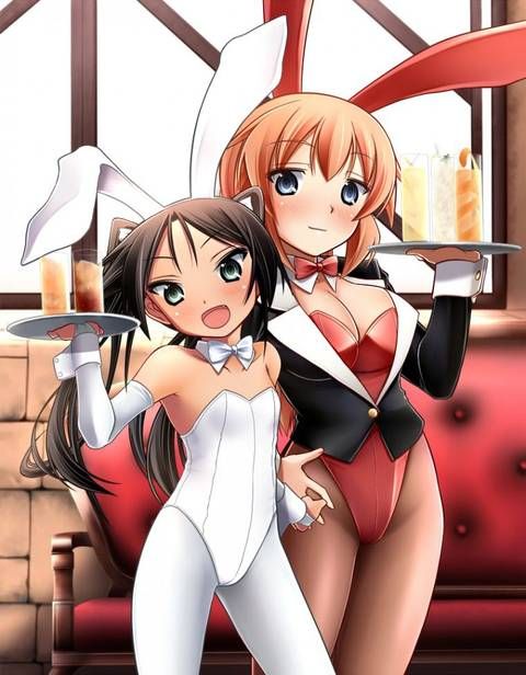 [105 Erotic pictures] is this a bunny girl girl...? 12 [2d] 29