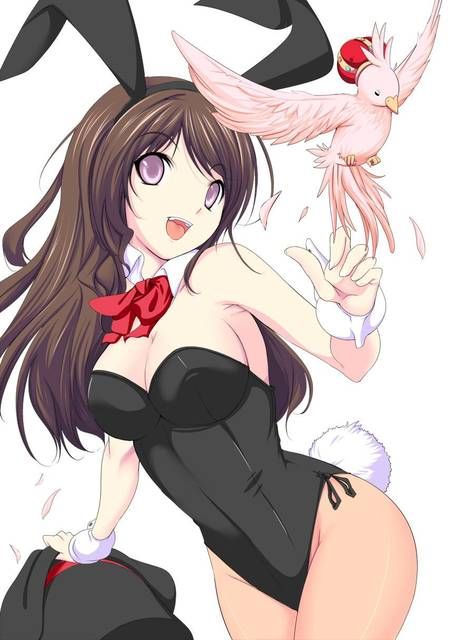 [105 Erotic pictures] is this a bunny girl girl...? 12 [2d] 35