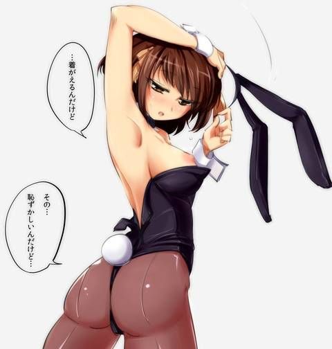 [105 Erotic pictures] is this a bunny girl girl...? 12 [2d] 46