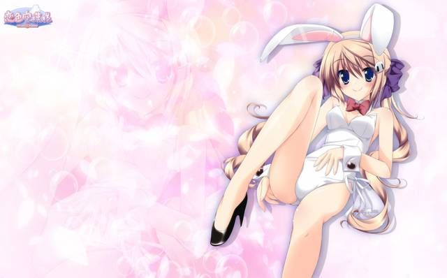 [105 Erotic pictures] is this a bunny girl girl...? 12 [2d] 49