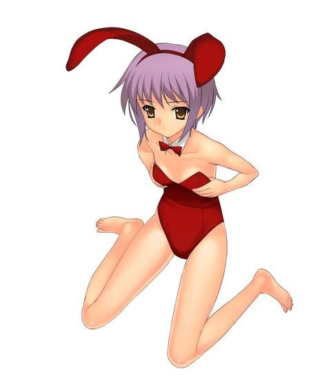 [105 Erotic pictures] is this a bunny girl girl...? 12 [2d] 66