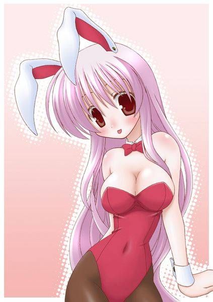 [105 Erotic pictures] is this a bunny girl girl...? 12 [2d] 85