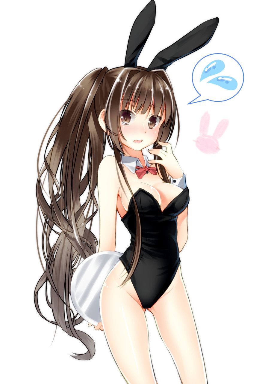 [2nd edition] sexy bunny girl Figure 2 erotic image of the 18 [bunny girl] 21