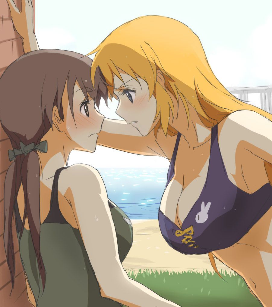 [Yuri] Flirting lesbian erotic image of a girl with each other 9 [2-d] 21