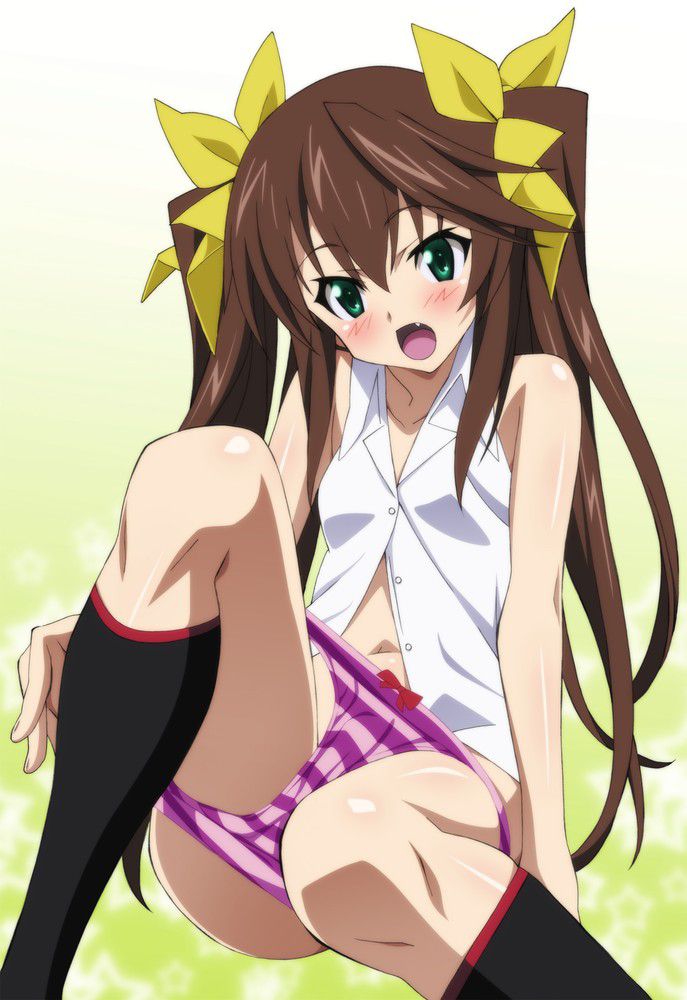 [IS = Infinite Stratos &gt;] fan Bell (wwww) Photo Gallery 15