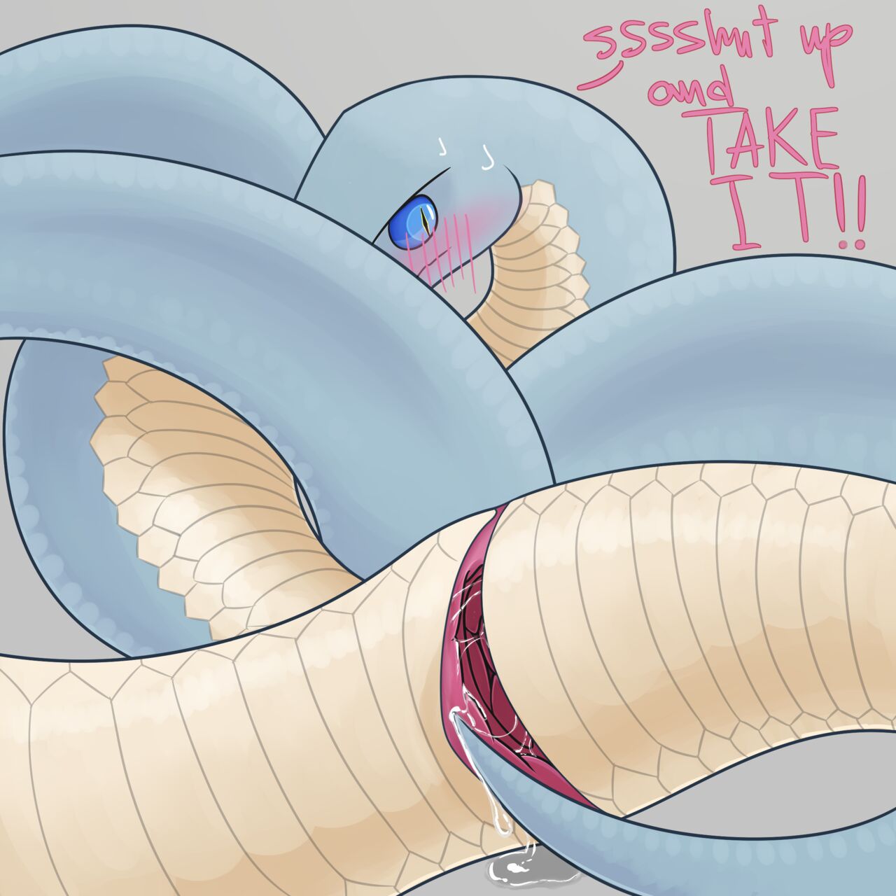 Feral Snakes 24