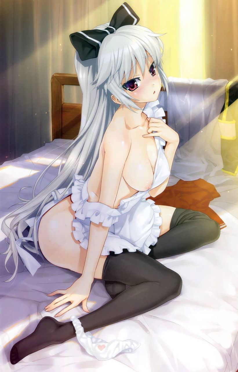 [Second edition] beautiful silver hair girl secondary erotic image [Silver hair] 12
