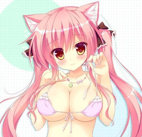 Do you play with your cat ears? : Rainbow Erotic Pictures Summary 15