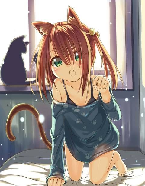Do you play with your cat ears? : Rainbow Erotic Pictures Summary 23
