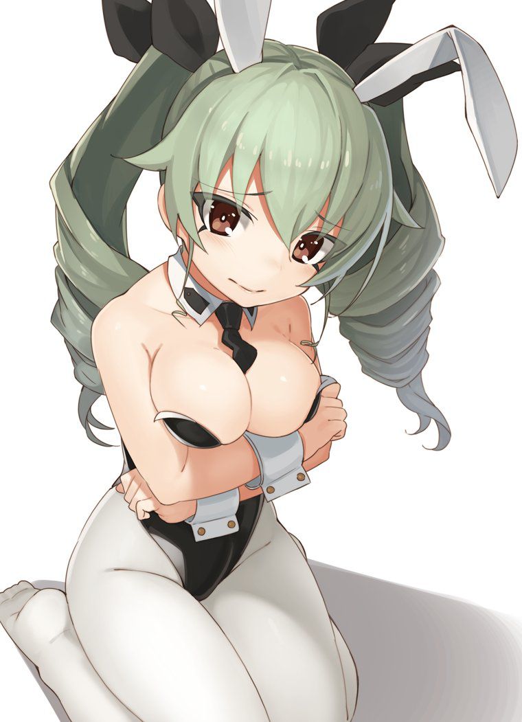 [2nd] sexy bunny girl Figure 2 erotic image of the second edition [Bunny Girl] 11