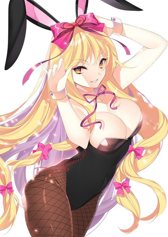 [2nd] sexy bunny girl Figure 2 erotic image of the second edition [Bunny Girl] 17