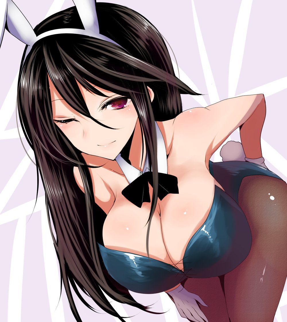 [2nd] sexy bunny girl Figure 2 erotic image of the second edition [Bunny Girl] 25