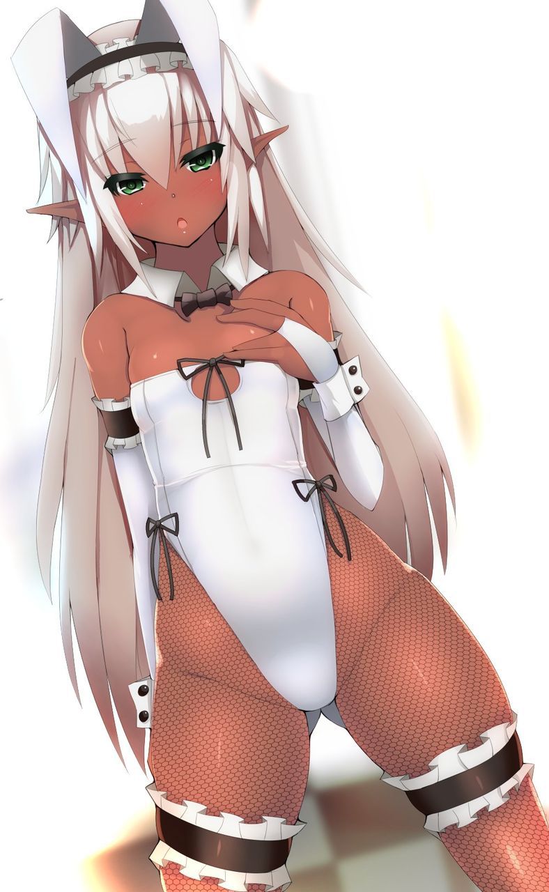 [2nd] sexy bunny girl Figure 2 erotic image of the second edition [Bunny Girl] 30