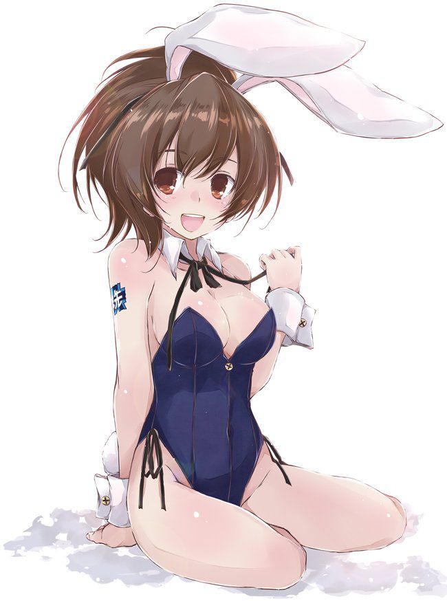 [2nd] sexy bunny girl Figure 2 erotic image of the second edition [Bunny Girl] 8