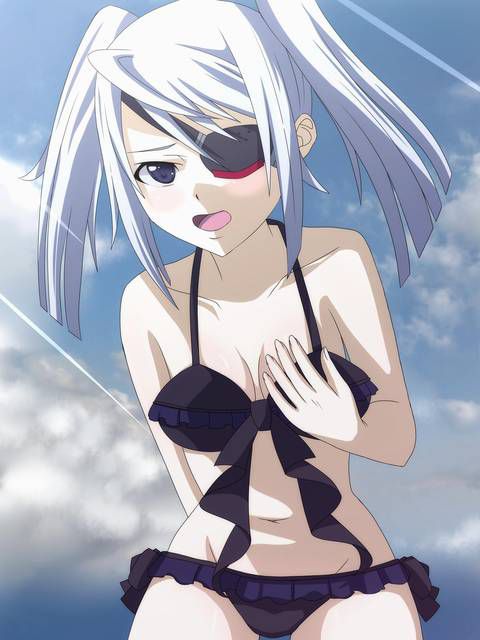 [116 Photos] About the image of the is Laura's eyepatch. 1 [Infinite Stratos] 84