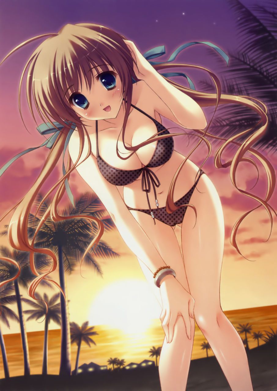 Swimsuit erotic image of the girl carefully selected [secondary swimsuit] Part 8 18