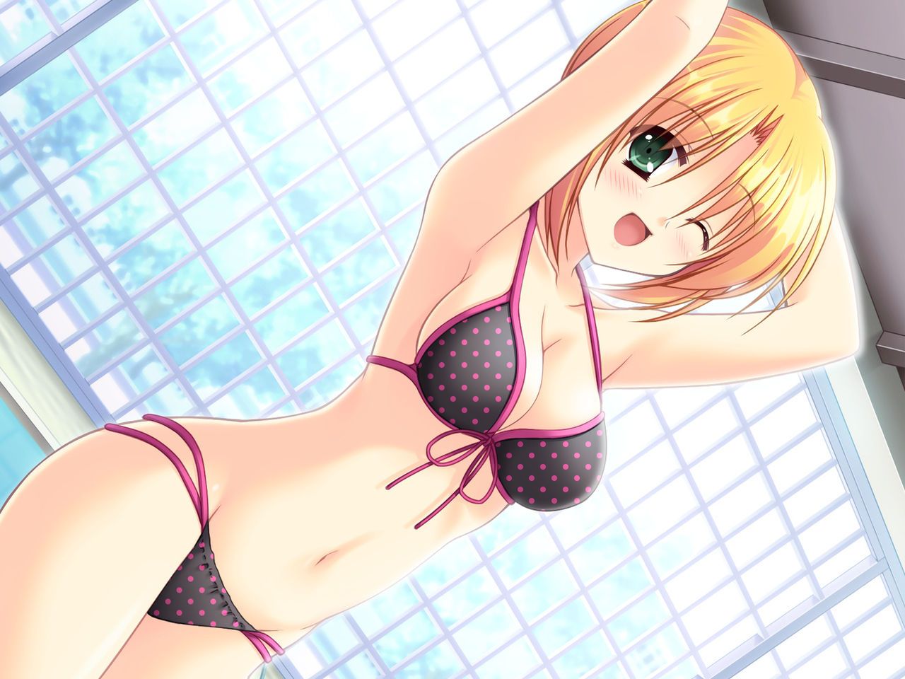 Swimsuit erotic image of the girl carefully selected [secondary swimsuit] Part 15 31