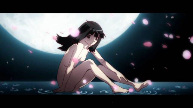 [131 photos] about the erotic image of the Bakemonogatari series. 1 55