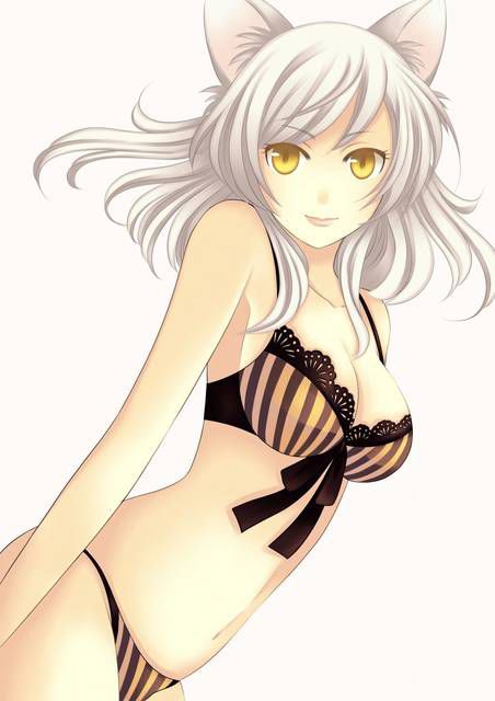 [131 photos] about the erotic image of the Bakemonogatari series. 1 81